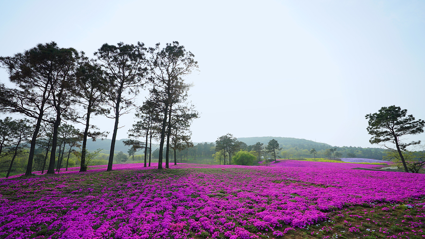 TIM圖片20180412142331