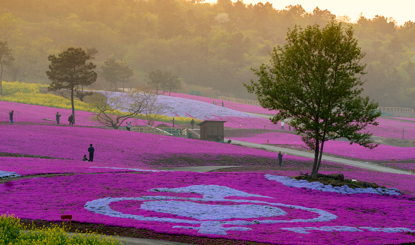 TIM圖片20180412142345