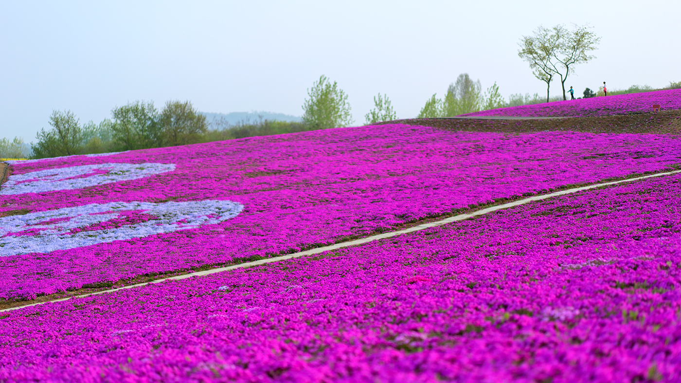TIM圖片20180412142157