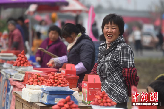 當地的種植戶樂的合不攏嘴