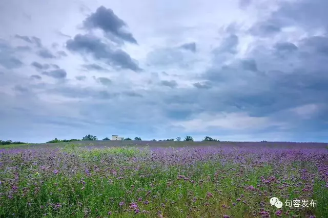 /website-webapp/ewebeditor/uploadfile/20181112111322720001