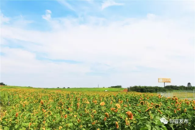 /website-webapp/ewebeditor/uploadfile/20181112111224831001