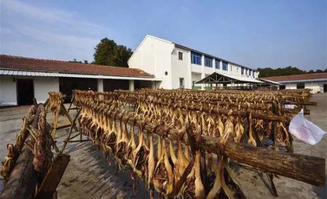 /website-webapp/ewebeditor/uploadfile/20190214143754996001