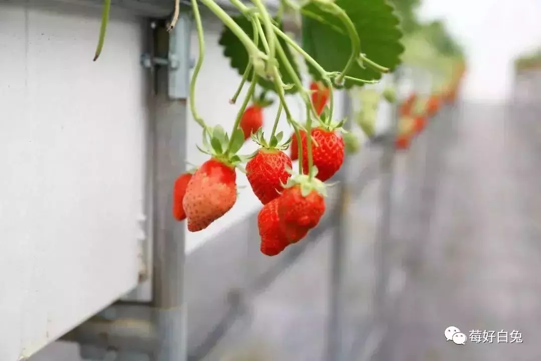 /website-webapp/ewebeditor/uploadfile/20190214144239745001