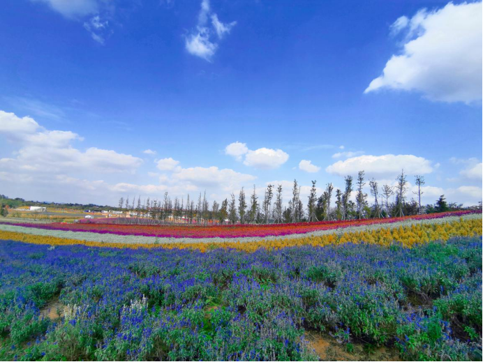 /website-webapp/ewebeditor/uploadfile/20191101095446907001