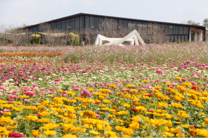 /website-webapp/ewebeditor/uploadfile/20191101095447108002