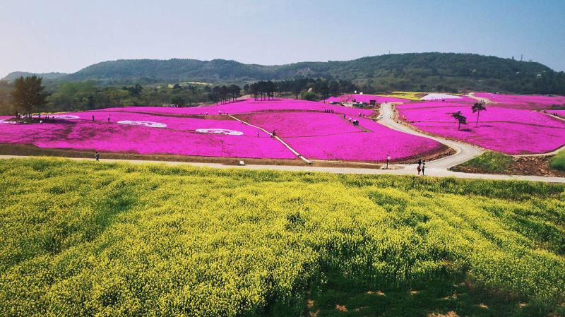 /website-webapp/ewebeditor/uploadfile/20200426095618668