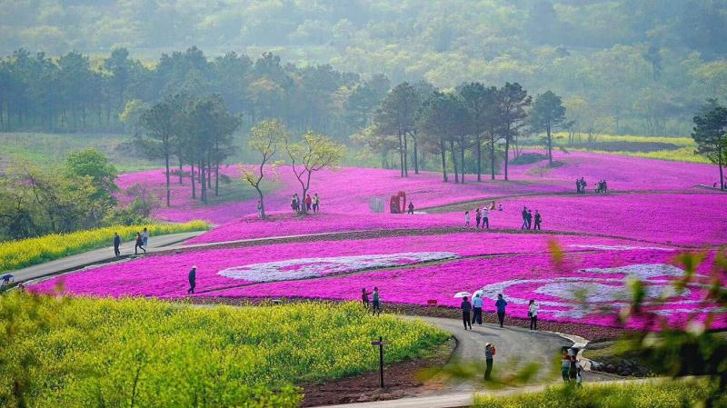 /website-webapp/ewebeditor/uploadfile/20200426095552322