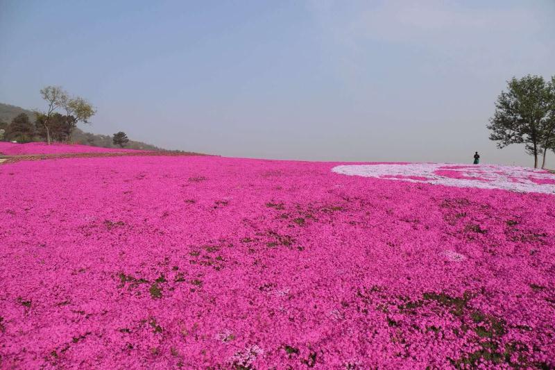 /website-webapp/ewebeditor/uploadfile/20200426095346347