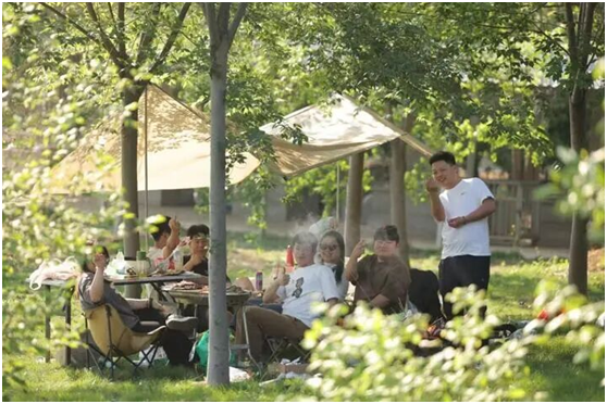 茅山風景區:中藥材種植與研學“混搭”  助力鄉村煥發新生機